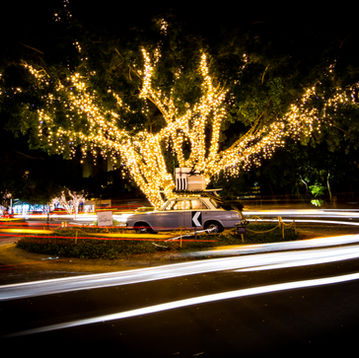 Noosa Christmas Lights