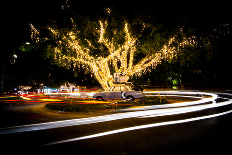 Noosa Christmas Lights