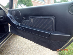 RH door card w/Champagne insert