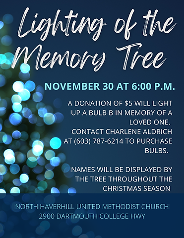 Blue White Elegant Photo Christmas Tree Lighting Ceremony Event Flyer.png