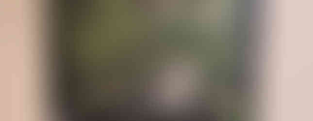 First Place, Drawing & Painting: Ayla Weber, Landscape