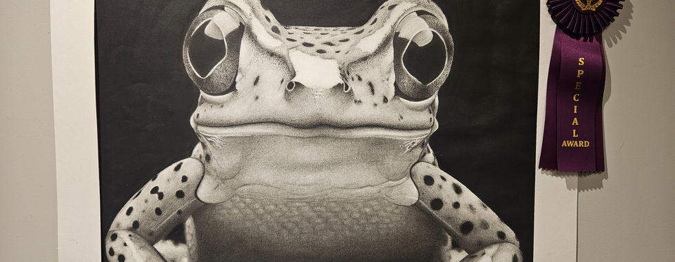 Best in Show: Hayley Morris, Charcoal Froag