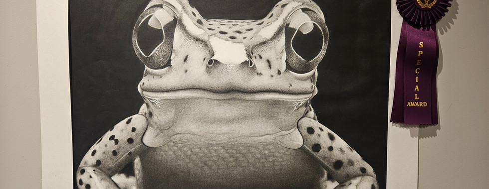 Best in Show: Hayley Morris, Charcoal Froag