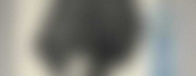 Honorable Mention: Nyssa Salinas, Hair