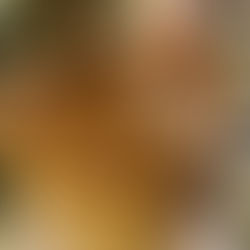 Caramel Snookerdoodle Delight