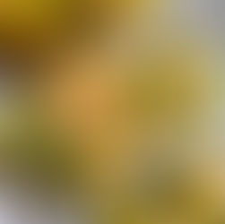 Spicy Thai Shrimp Cucumber Rolls