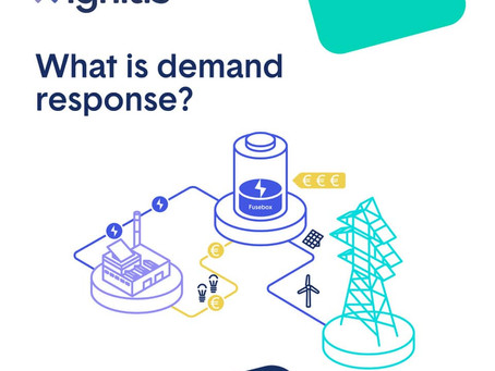 Ignitis partnership with Fusebox allowed to introduce a novelty in the Lithuanian electricity market