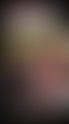 L.A. Homeless Program Faces Scrutiny After 40% of Participants Return to the Street