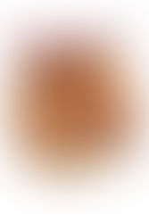 Danny’s Tasty Cakes: A Sweet Experience Made With Love