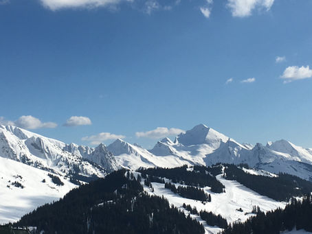 Maintenance in the Chalet