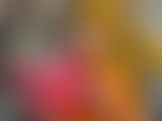 Wat een magnifiek boek