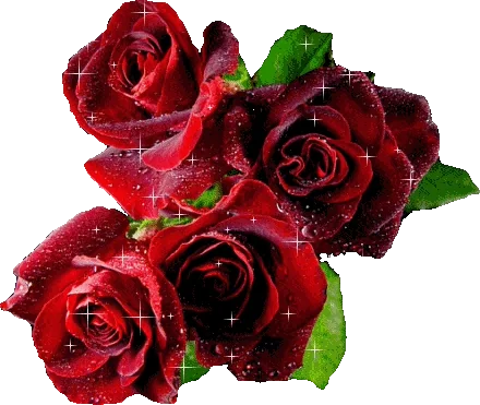 Wusstest du, dass Rosen die höchste Schwingungsfrequenz (320MHz) aller Blumen haben, was s