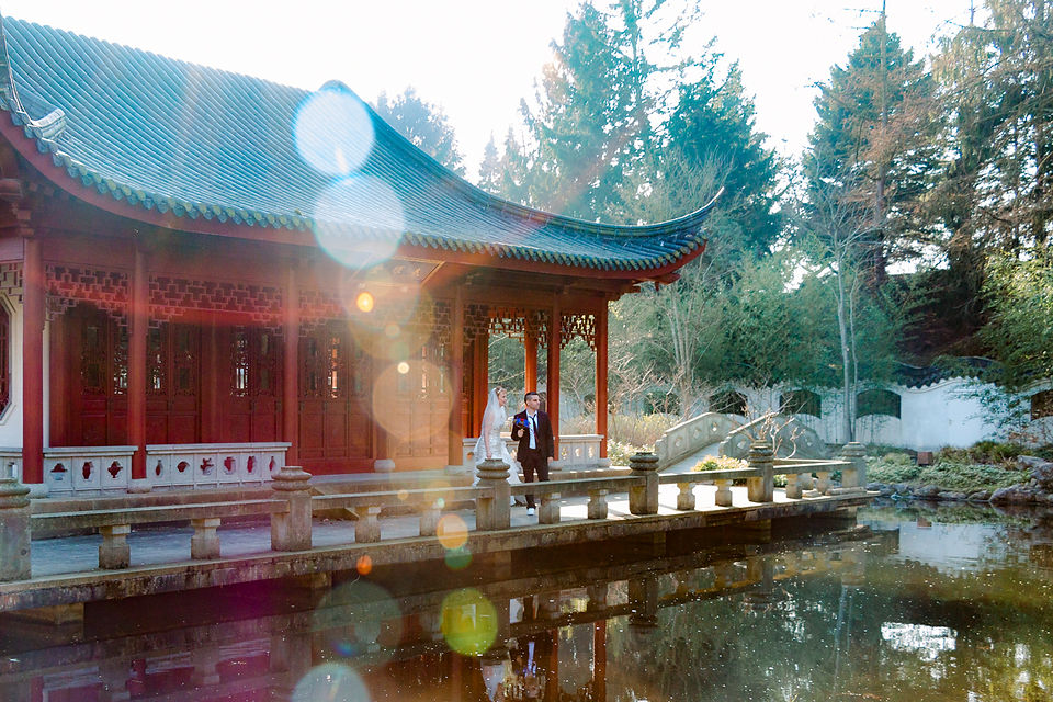 Chineese tuin in Hortus haren met Italiaans bruidspaar en lensflaire