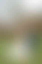 Bruidspaar staat romantisch voor hun unieke trouwlocatie