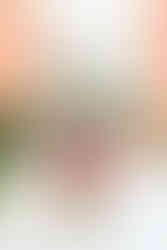 klein bruidsboeket voor kanten trouwjurk