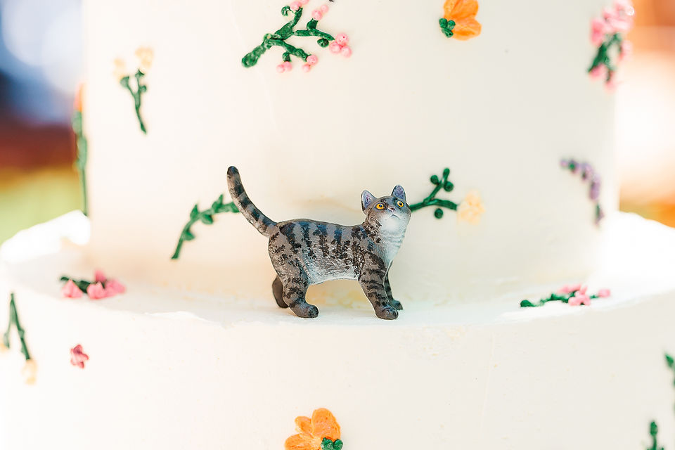 uniek detail bruidstaart met kat