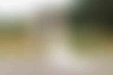 First-look bruidspaar