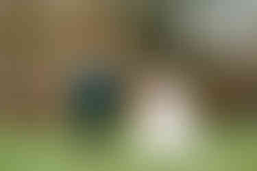 Winter bruiloft waarbij een bruidspaar wandelt in het bos