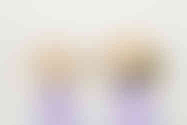 Trouwringen in boomstam ringhouders