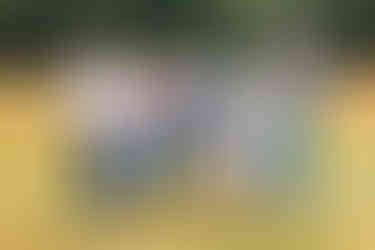 grappige foto van grootouders met kleinkinderen