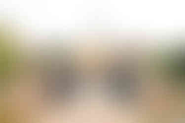 bruidspaar loopt tussen de gasten door naar de fraeylemaborg