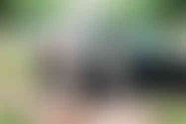 bruidspaar stapt uit de auto in de regen