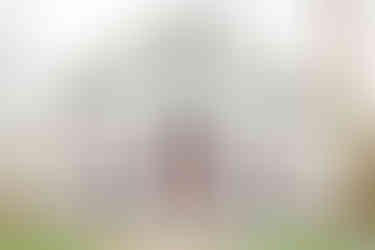 Bruidspaar voor het landhuis van Hermans Dijkstra in Midwolda ā sfeervolle trouwreportage door Renke Fotografie.