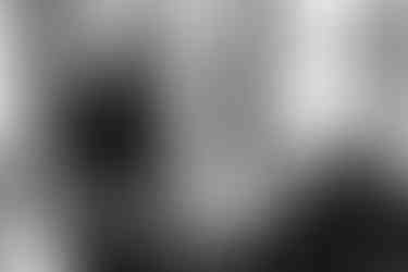 jubileum fotograferen