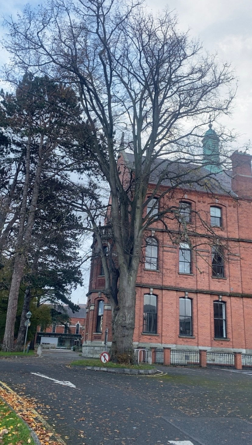 UCD Smurfit, Dublin.