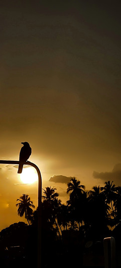 By Kanishgasri
