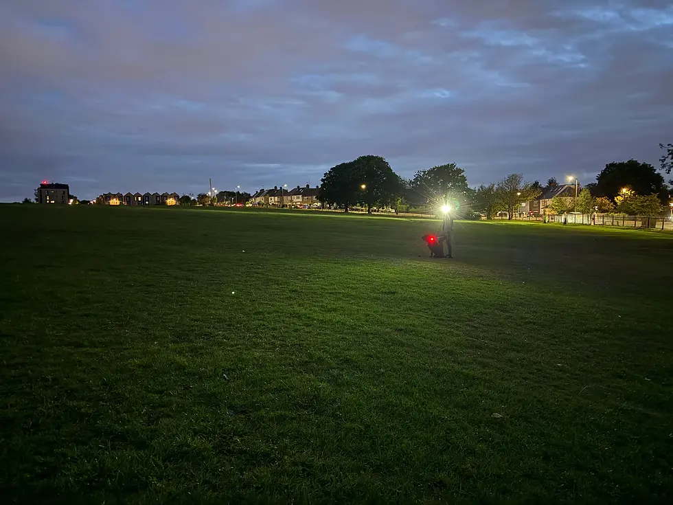 Hund mit rotem Licht und Mensch mit Stirnlampe beim abendlichen Spaziergang im Park – optimale Beleuchtung und Sicherheit in der Dämmerung.