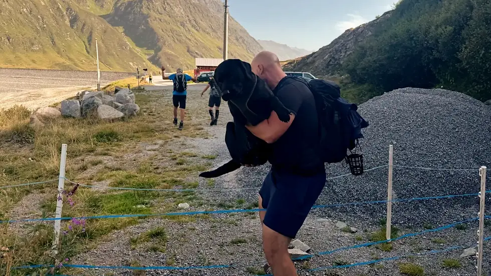 Hundetrainer trägt seinen schwarzen Labrador auf einer Bergwanderung in Österreich – Symbol für Achtsamkeit, Teamgeist und Rücksicht beim Wandern mit Hund.