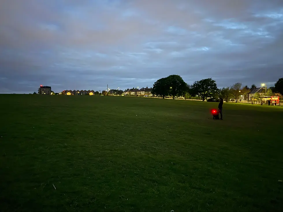 Hund mit rotem Licht beim Abendspaziergang im Park – Beispiel für sichere Beleuchtung und Sichtbarkeit in der Dämmerung und Nacht.