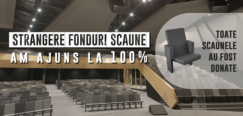 SCAUNE DONATE FINAL.jpg