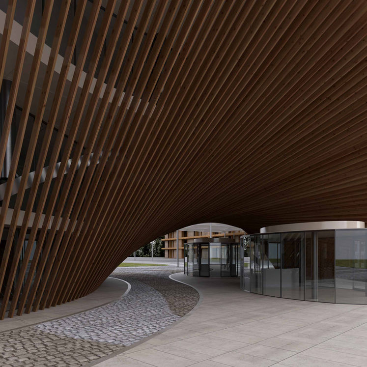 Interior-exterior transition space featuring a sculptural curved timber canopy and glass entrance in a modern architectural design.
