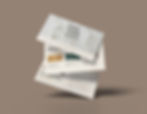 Presentation Mockup_edited.jpg