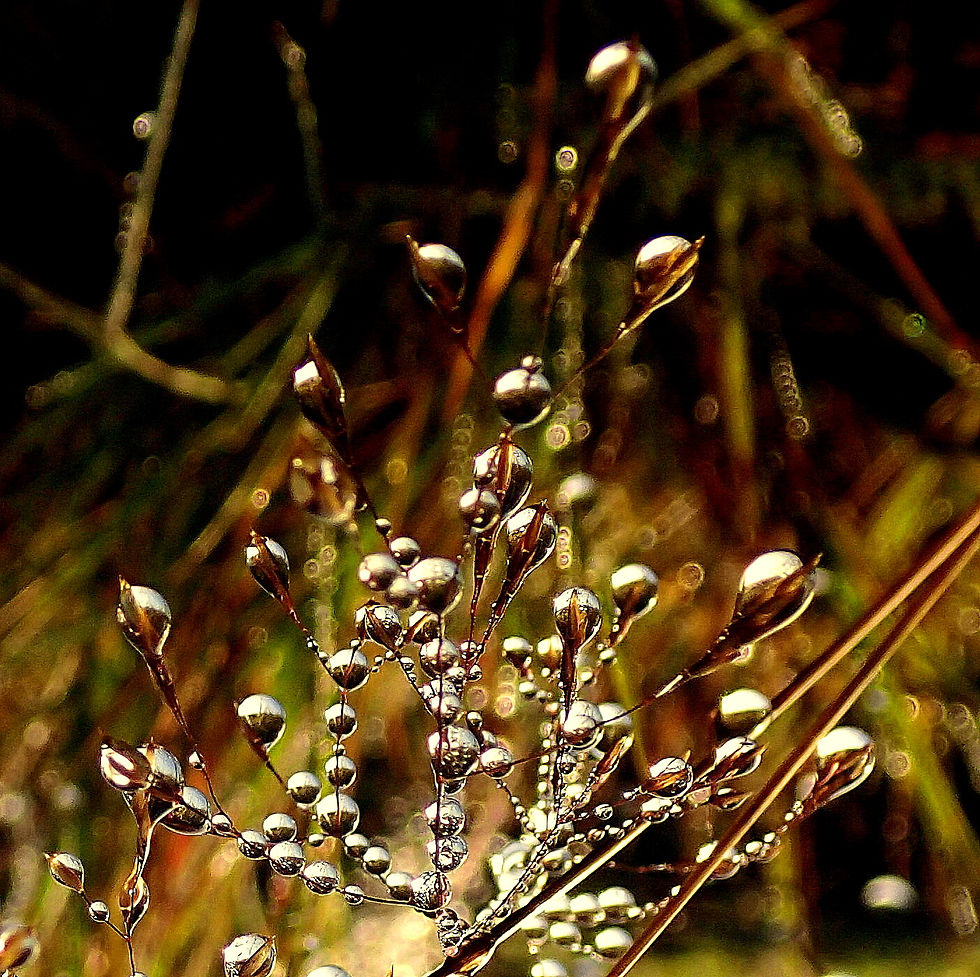 Wassertropfen 2