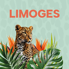 Plan de travail 1 copie 5.png