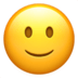 Slightly Smiling Face