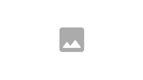 Placeholder 1