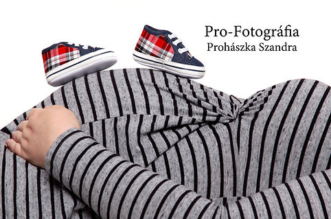 Pro-Fotografia_pocak_web.jpg