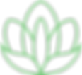 Integrative psychology