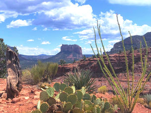 My story: We all want to be seen.