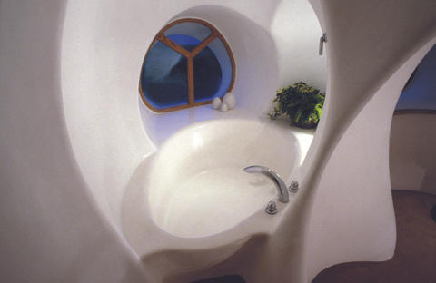 The pool in the bathroom.