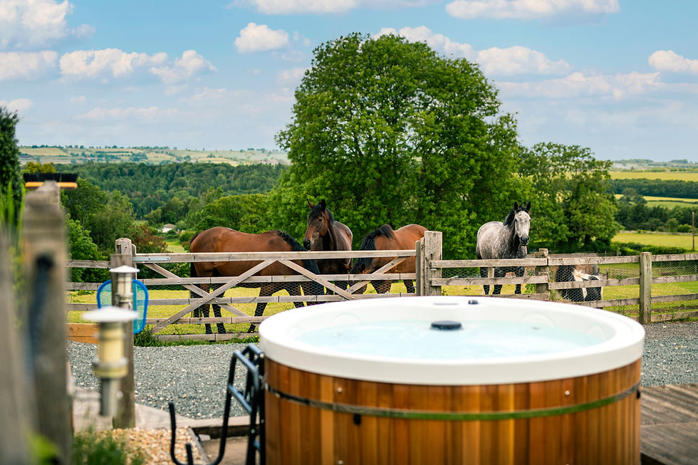 Hot tub with horses in background, overlooking a peaceful countryside setting.