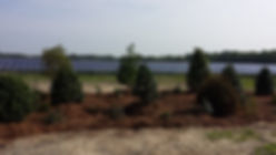 Mile solar buffer install4 WS.jpeg