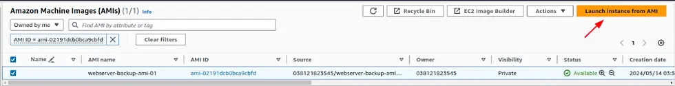 Launching Instance from AMIs