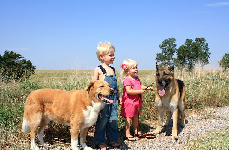 Kids and Dogs