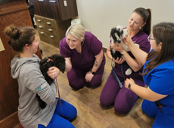 Techs and puppies