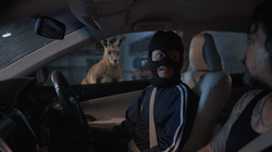 ROOJAI - Do Not Take Risks Without a Kangaroo